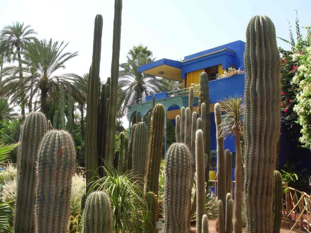 Appart Avec Vue Jardin/Majorelle Marrakesh Exterior photo