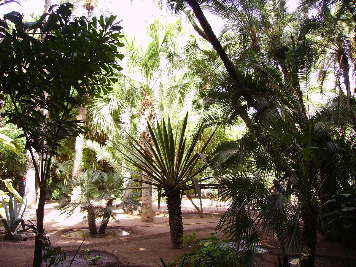 Appart Avec Vue Jardin/Majorelle Marrakesh Exterior photo